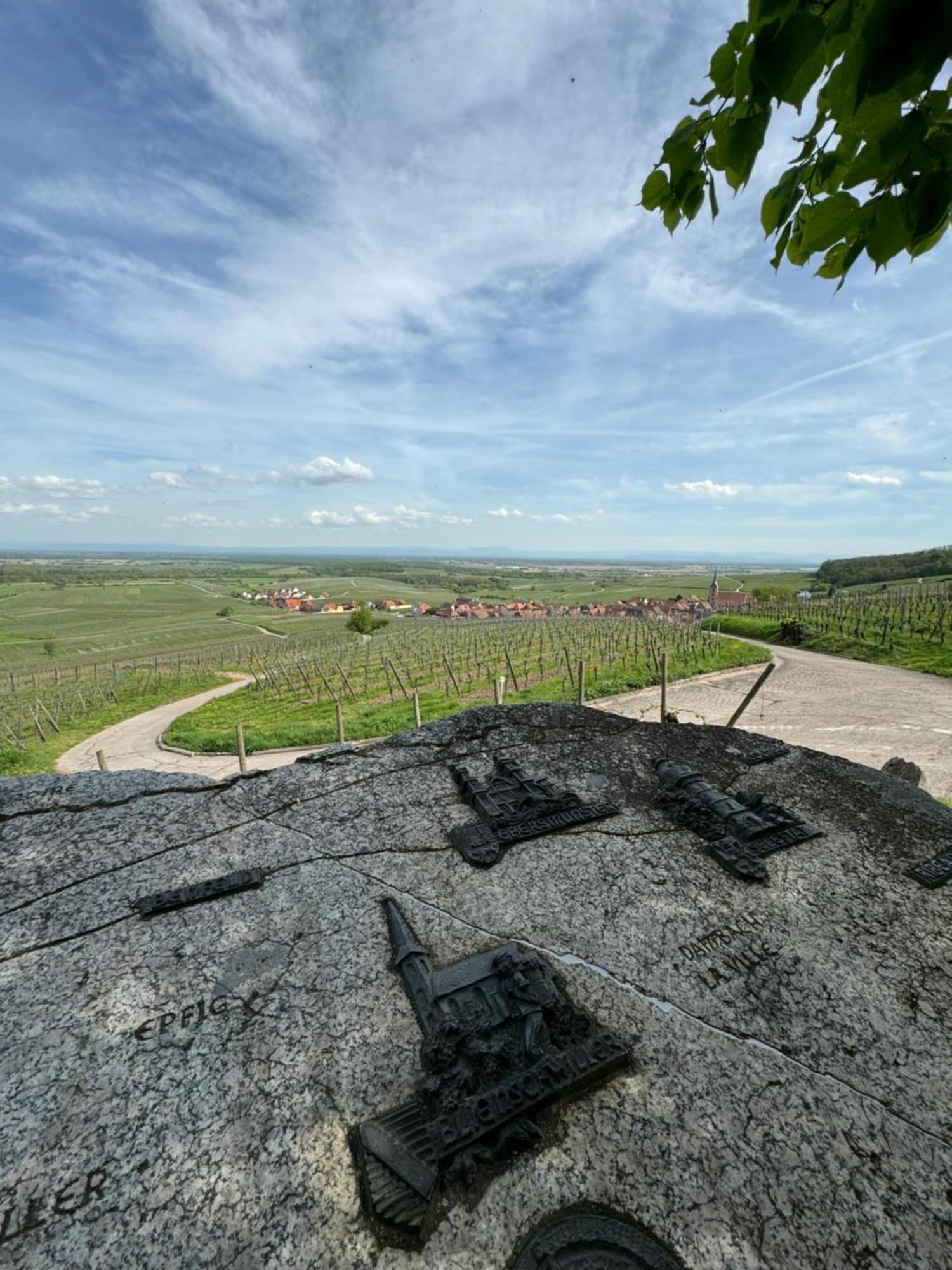 La Terasse Des Vignes - Maison 2 Chambres - 4 Personnes Blienschwiller Bagian luar foto