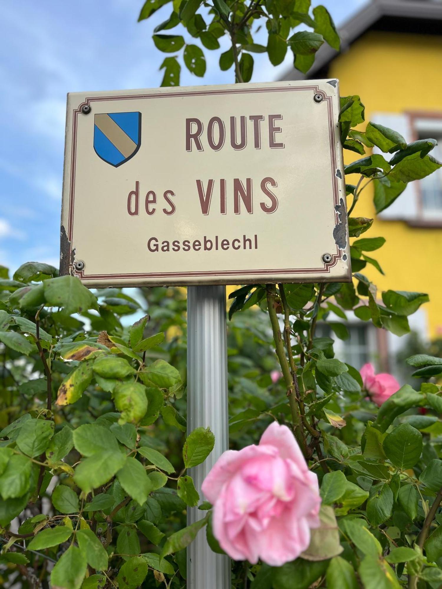 La Terasse Des Vignes - Maison 2 Chambres - 4 Personnes Blienschwiller Bagian luar foto